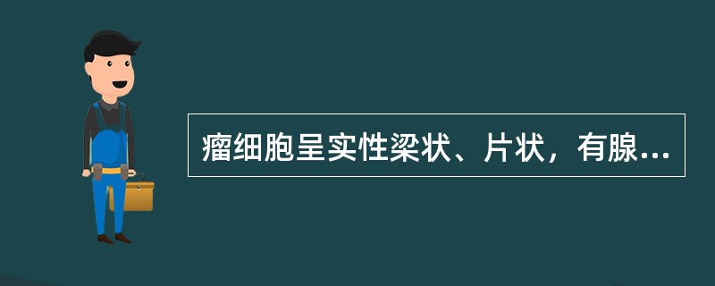 瘤细胞呈实性梁状、片状，有腺样结构，细胞有异型性，血管少的是