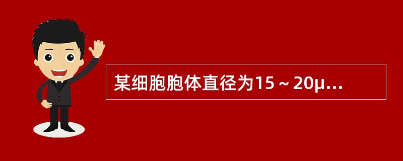 某细胞胞体直径为15～20μm，圆形，边缘有瘤状突起；胞核圆形，核染色质呈颗粒状；核仁1～2个；胞浆量少，呈油墨蓝。该细胞为