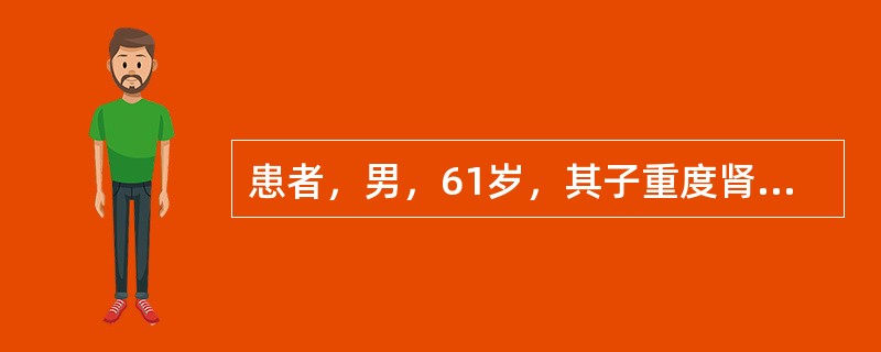 患者，男，61岁，其子重度肾功衰，二人配型成功，拟行肾移植手术，对肾供体行相关检查，其中了解分肾功能，采用下列哪项检查？（　　）