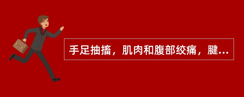 手足抽搐，肌肉和腹部绞痛，腱反射亢进，提示（　）。