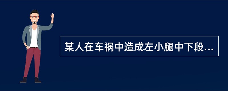 某人在车祸中造成左小腿中下段外伤，疼痛、流血、异常活动，被人简单包扎后立即送到附近医院，经检查发现小腿中下段胫腓骨骨折，诊断小腿中下段开放性骨折。如果此人伤口1cm，为骨折断端刺破皮肤短斜行骨折，正确