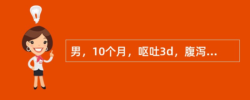 男，10个月，呕吐3d，腹泻4d，因无尿8h入院，诊断重度等渗脱水伴酸中毒、营养不良。给予补液后12h纠正脱水、酸中毒，16h突然出现惊厥。为明确诊断应选择的辅助检查是