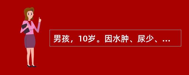 男孩，10岁。因水肿、尿少、尿色加深1周，伴烦躁、气促1天入院。体检：体温36.6℃，血压150/100mmHg，端坐呼吸，口唇微绀，心率110次/min，两肺底少量细湿啰音，肝肋下2.5cm，血红蛋