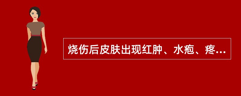 烧伤后皮肤出现红肿、水疱、疼痛，不伤及真皮，1～2周愈合者为几度烧伤