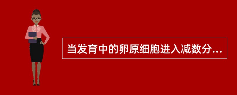 当发育中的卵原细胞进入减数分裂双线期时，称为