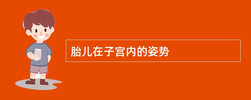胎儿在子宫内的姿势