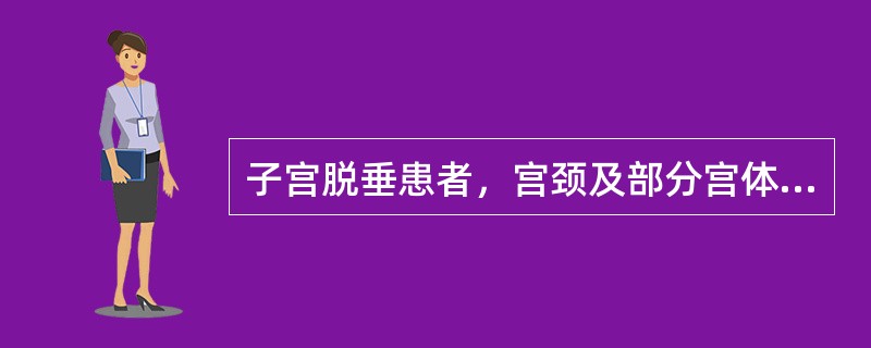 子宫脱垂患者，宫颈及部分宫体脱出阴道口，应属