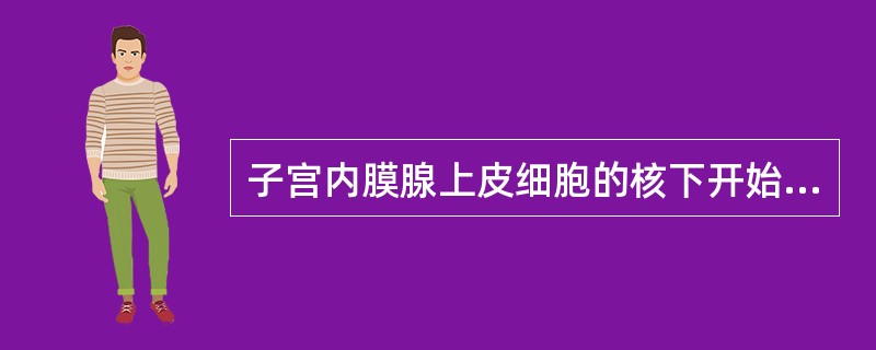 子宫内膜腺上皮细胞的核下开始出现含糖原小泡，相当于月经周期的