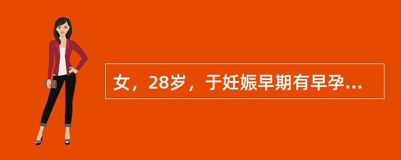 女，28岁，于妊娠早期有早孕反应，尿hCG阳性。于妊娠17周时感有胎动。B超示单胎，头位，见心脏搏动。现为妊娠26周，近2周来自觉胎动停止，腹部不再增大，来门诊检查，宫底平脐，未闻及胎心，复查B超未见