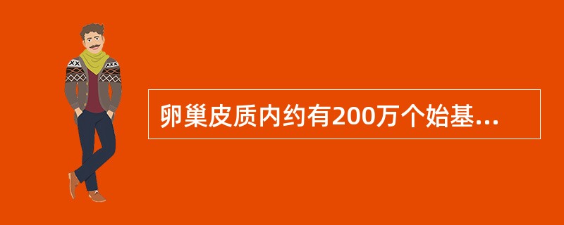 卵巢皮质内约有200万个始基卵泡出现在
