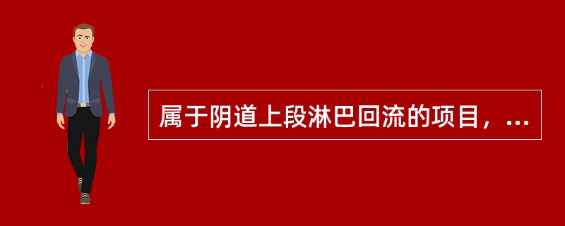 属于阴道上段淋巴回流的项目，正确的是