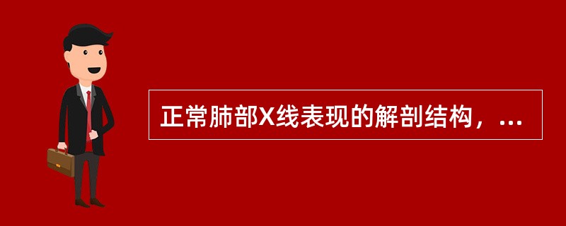 正常肺部X线表现的解剖结构，哪一项不正确？（　　）