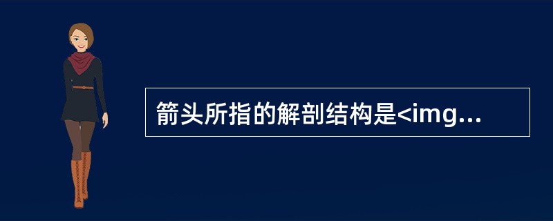 箭头所指的解剖结构是<img border="0" style="width: 282px; height: 224px;" src="http