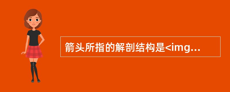 箭头所指的解剖结构是<img border="0" style="width: 282px; height: 192px;" src="http