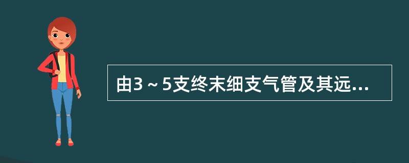 由3～5支终末细支气管及其远端组织组成的肺结构称为