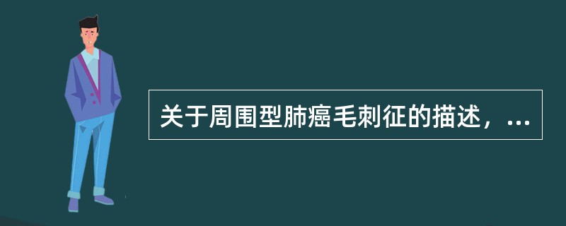 关于周围型肺癌毛刺征的描述，不正确的是（　　）。