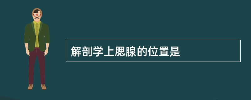 解剖学上腮腺的位置是