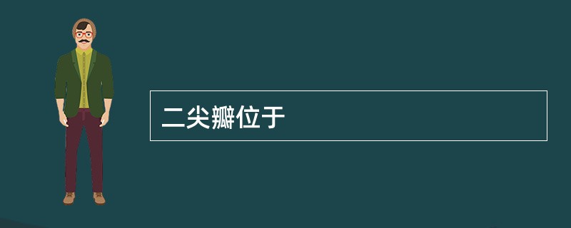 二尖瓣位于