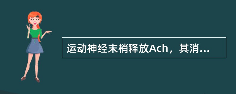 运动神经末梢释放Ach，其消除的主要途径是