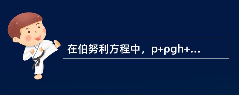 在伯努利方程中，p+ρgh+(1/2)*ρv2=C，(1/2)*ρv2代表的是