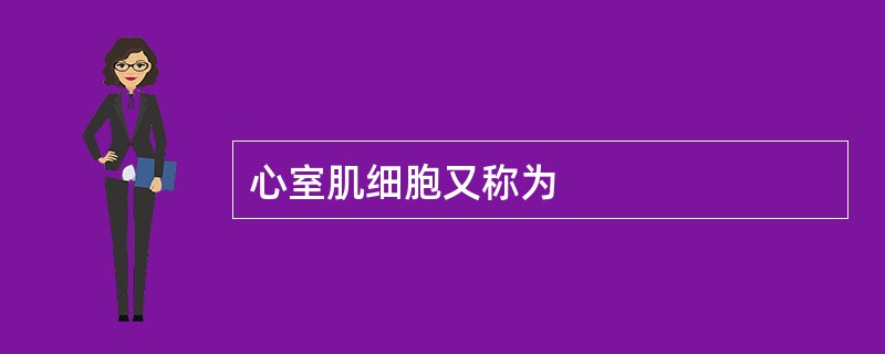 心室肌细胞又称为