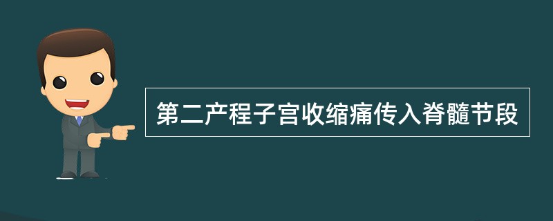 第二产程子宫收缩痛传入脊髓节段