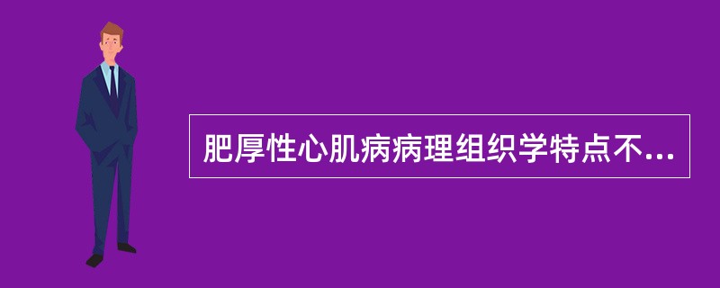 肥厚性心肌病病理组织学特点不包括