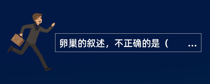 卵巢的叙述，不正确的是（　　）。