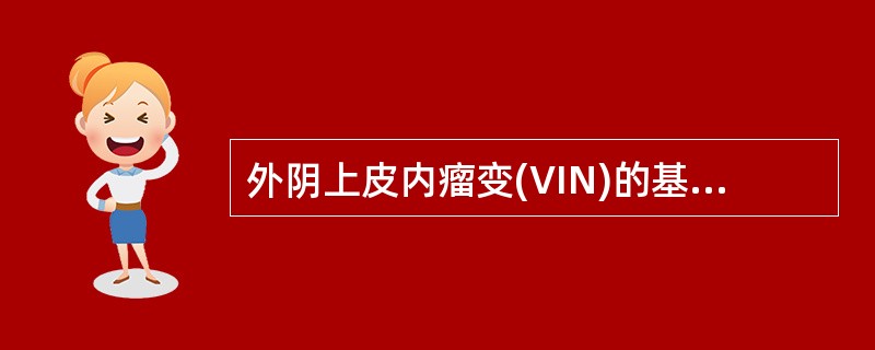 外阴上皮内瘤变(VIN)的基本病变不包括