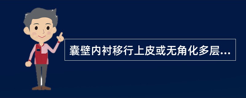 囊壁内衬移行上皮或无角化多层扁平上皮，囊壁见黏液性腺泡