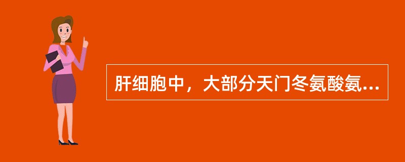 肝细胞中，大部分天门冬氨酸氨基转移酶（AST）存在于