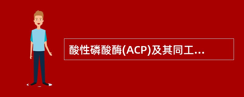 酸性磷酸酶(ACP)及其同工酶测定主要用于诊断（　　）。