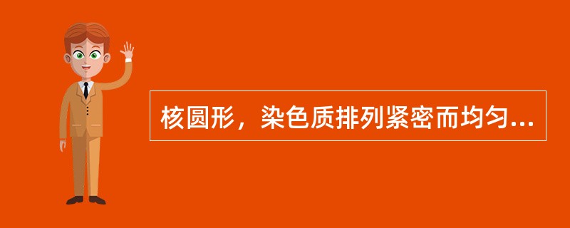 核圆形，染色质排列紧密而均匀，胞浆呈清澈的淡蓝色，可见少量的嗜天青颗粒的细胞是