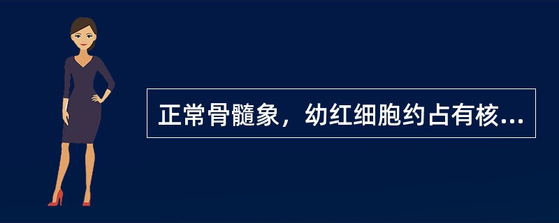 正常骨髓象，幼红细胞约占有核细胞的