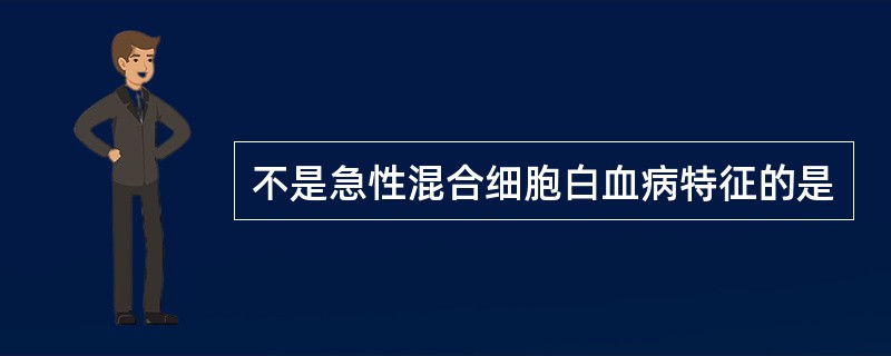 不是急性混合细胞白血病特征的是
