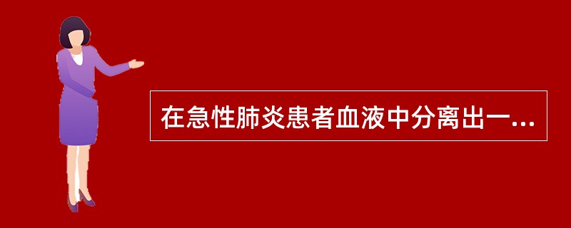 在急性肺炎患者血液中分离出一株细菌，血平板上为灰白色，α-溶血扁平较小菌落，革兰染色为阳性双球菌，矛头状，坦面相对，触酶试验阴性，杆菌肽试验阴性，Optochin敏感试验阳性，胆汁溶菌试验阳性，6.5