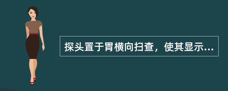 探头置于胃横向扫查，使其显示"∞"字样结构的部位是