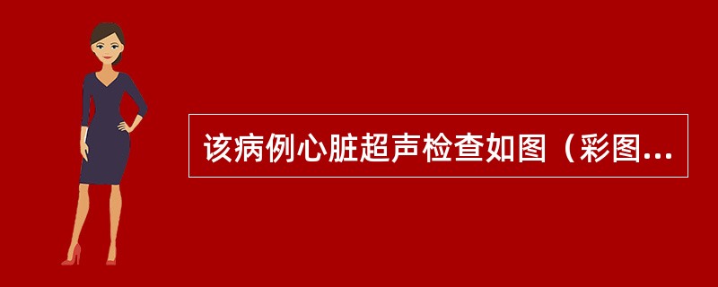 该病例心脏超声检查如图（彩图17）所示，最可能的诊断是<img border="0" style="width: 306px; height: 268px;&quo