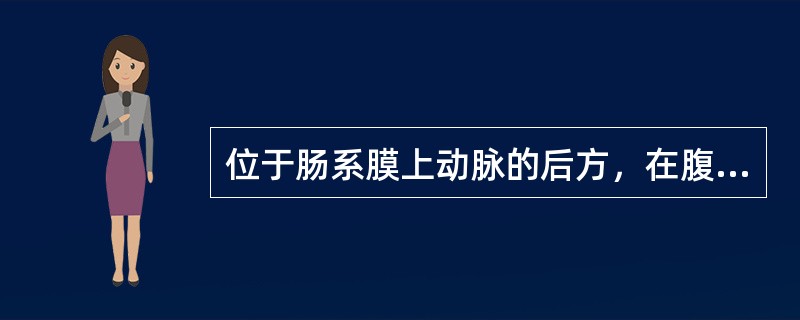 位于肠系膜上动脉的后方，在腹主动脉和肠系膜上动脉形成向前下开放的夹角内的血管，称为