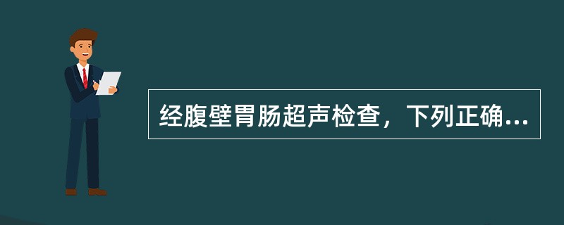 经腹壁胃肠超声检查，下列正确的是