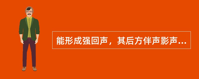 能形成强回声，其后方伴声影声像图的是