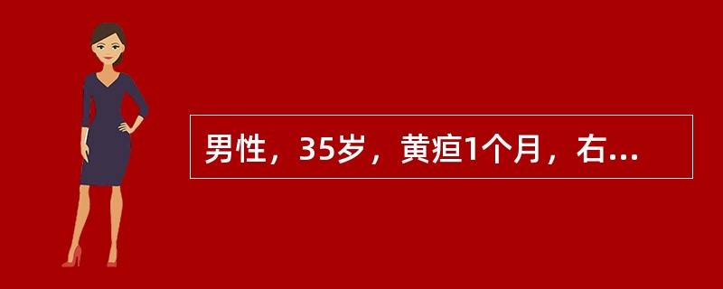 男性，35岁，黄疸1个月，右上腹轻微胀痛，食欲减退，经内科治疗无效。查体：肝大，胆囊增大，血胆红素17μmo1/L，AST70U/L，AKP45U/L，AFP＞5ng/ml，可能诊断是（　　）。