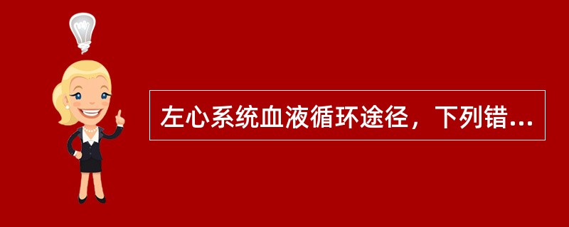 左心系统血液循环途径，下列错误的是