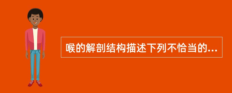 喉的解剖结构描述下列不恰当的是（　　）。