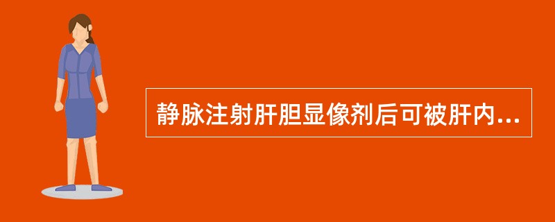 静脉注射肝胆显像剂后可被肝内何种细胞摄取？（　　）