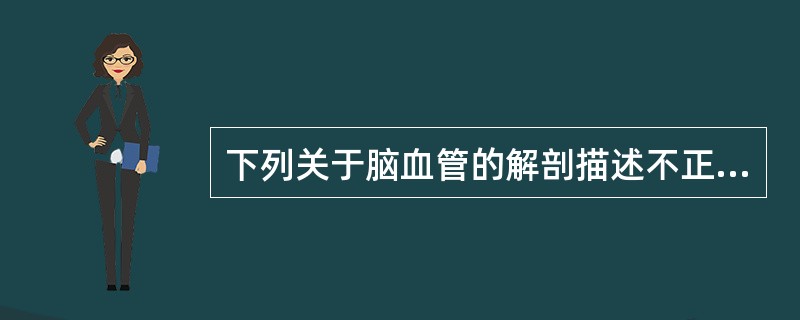 下列关于脑血管的解剖描述不正确的是（　　）。