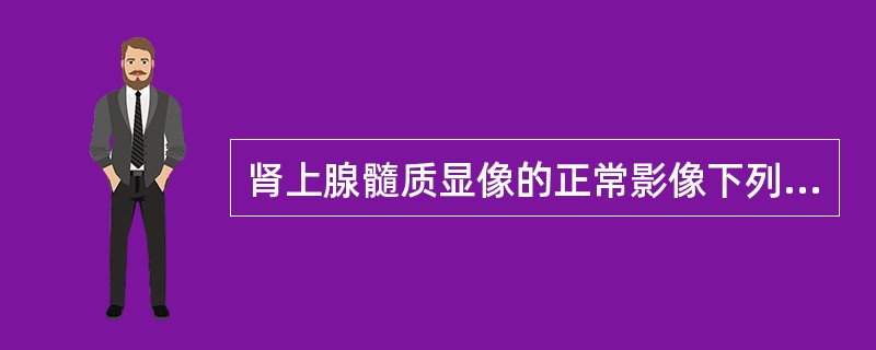 肾上腺髓质显像的正常影像下列错误的是（　　）。