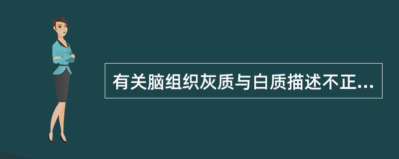 有关脑组织灰质与白质描述不正确的是（　　）。