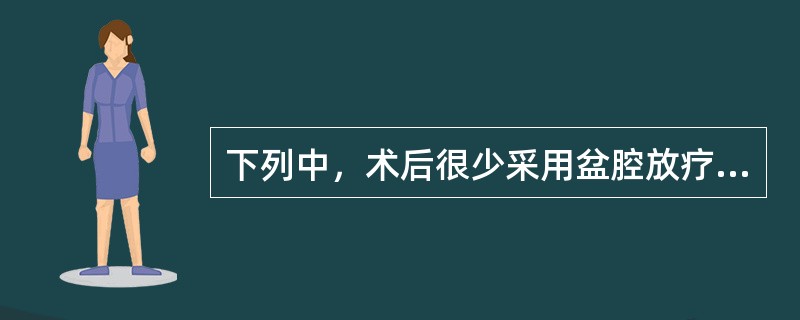 下列中，术后很少采用盆腔放疗的是（　　）。