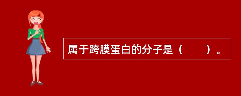 属于跨膜蛋白的分子是（　　）。